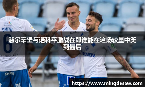 赫尔辛堡与诺科平激战在即谁能在这场较量中笑到最后